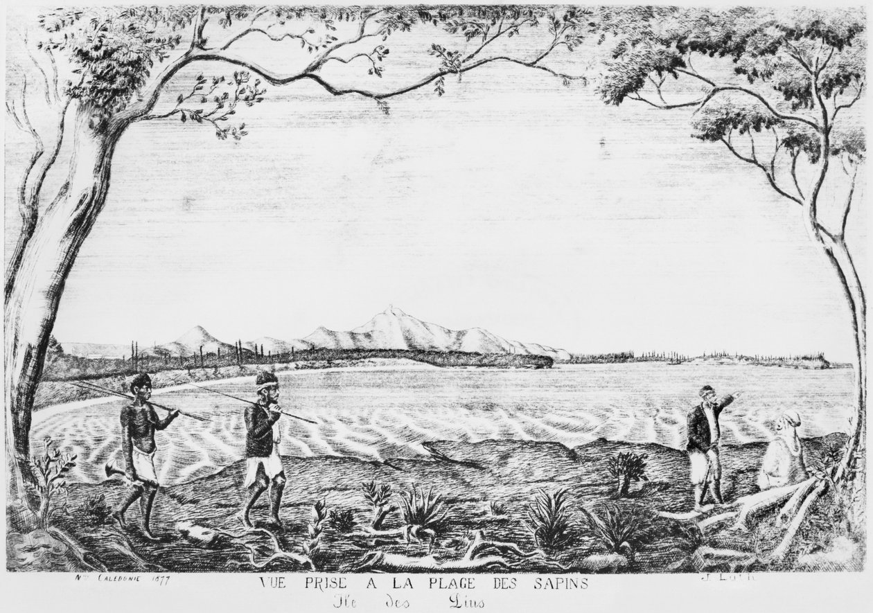 Album av Isle of Pines, vy tagen från Pines Beach, 1877 av French School