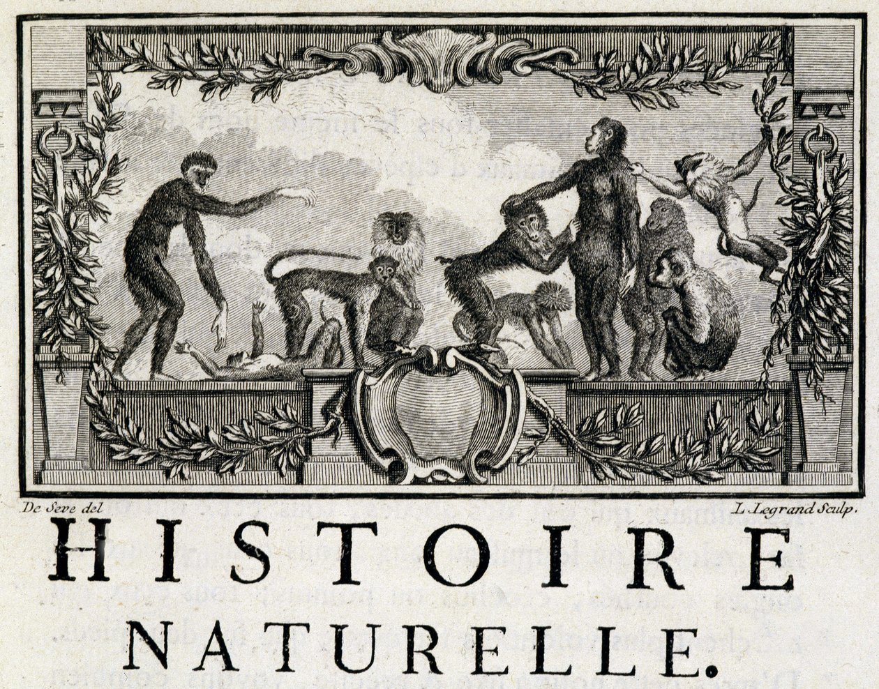 Allegory of Natural History på aporna - i "" Natural, General and Special History"" av Buffon av French School
