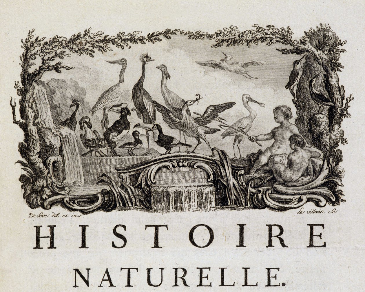 Allegory of Natural History on Birds - i "" Natural, General and Particular History"" av Buffon av French School