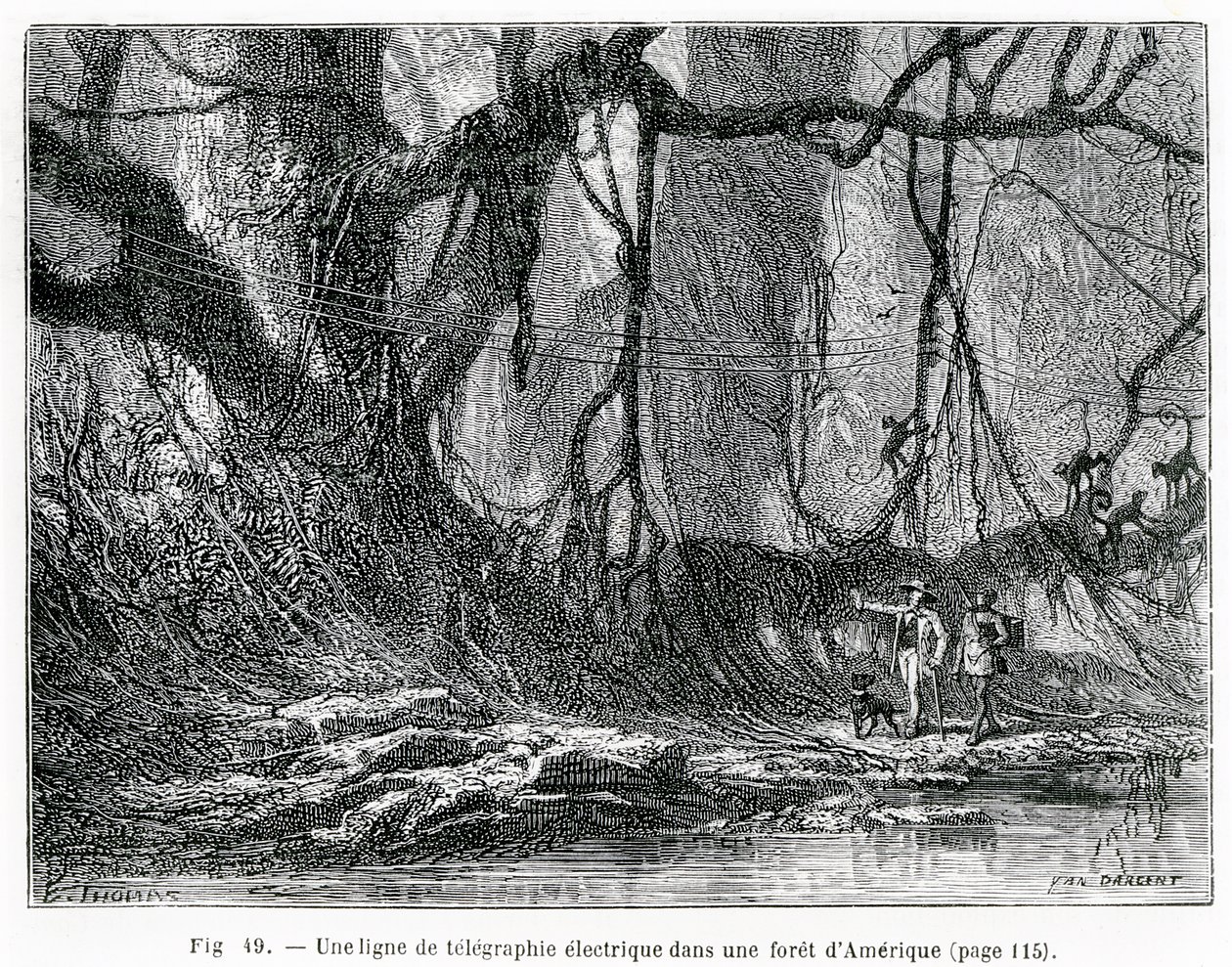 En elektrisk telegraflinje i en amerikansk skog, ca 1870 (gravyr) av French School
