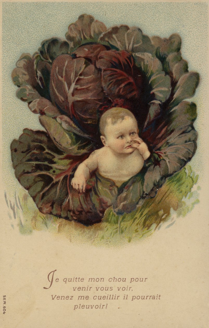 Bebis som kommer ut ur en kål (chromolitho) av French School