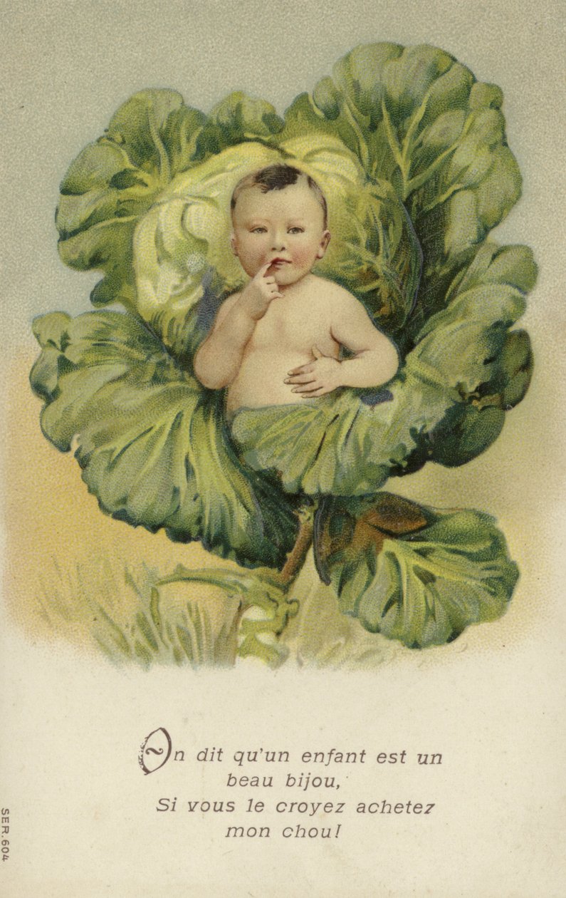 Bebis i en kål (chromolitho) av French School