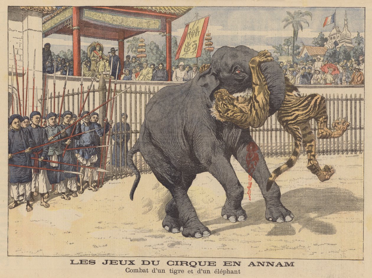 Kamp mellan en elefant och en tiger på en cirkus i Annam, Indokina (färglitografi) av French School