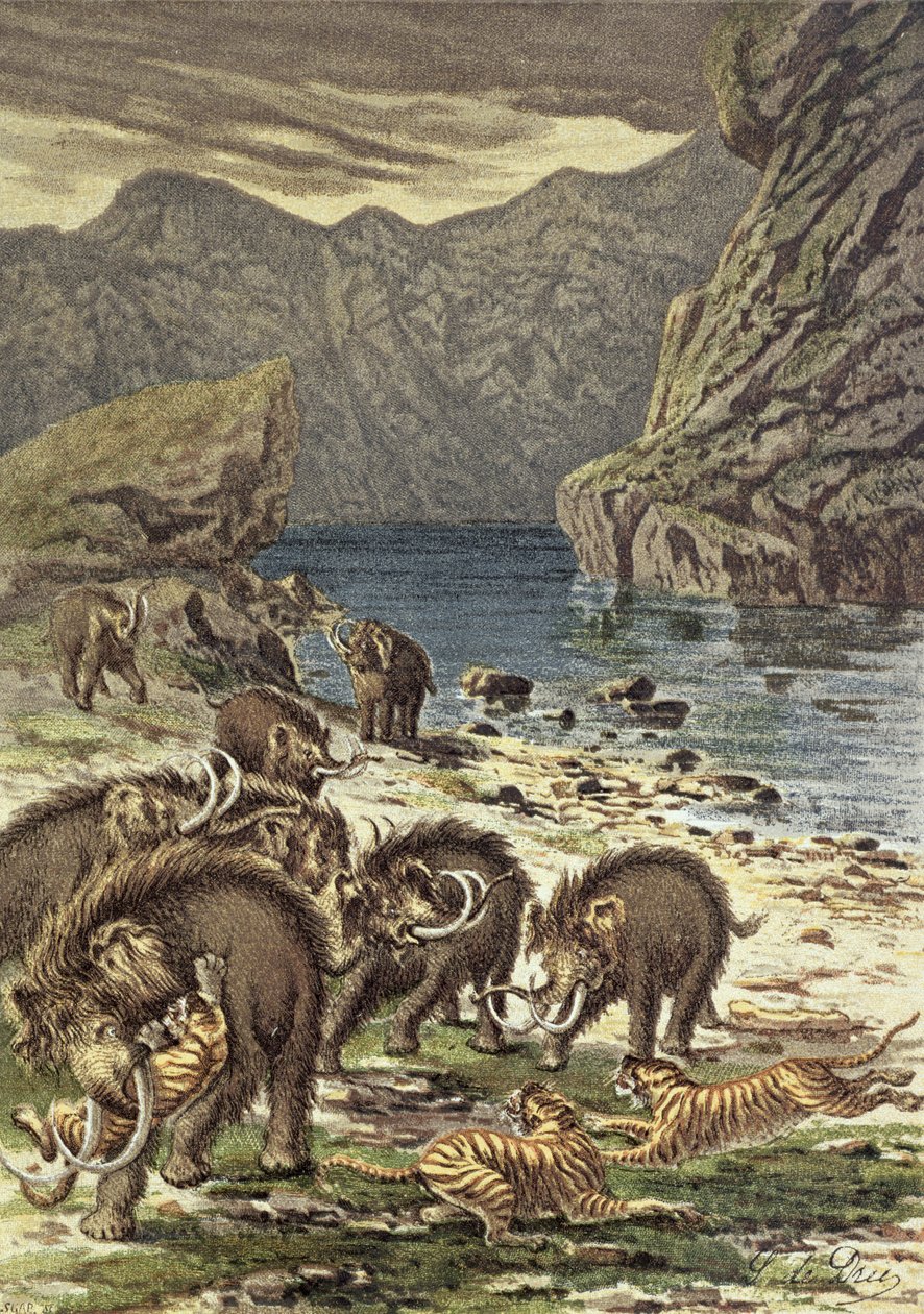 Kamp mellan mammutar och sabeltandade tigrar, från Le Monde Avant la Creation dHomme av Camille Flammarion, 1886 av French School