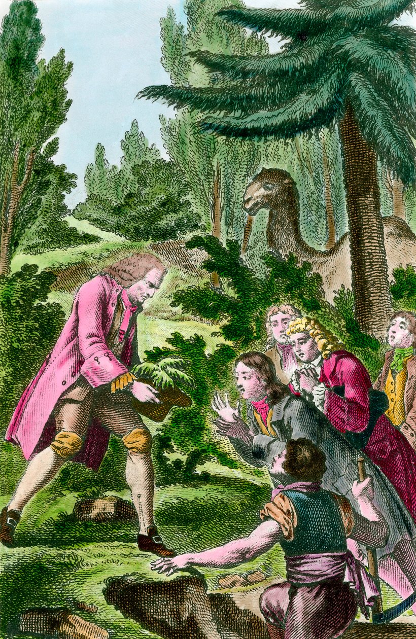 Bernard de Jussieu (1699-1777) planterar cederträ från Libanon i växternas trädgård i Paris 1734. Gravyr från 1700-talet. av French School