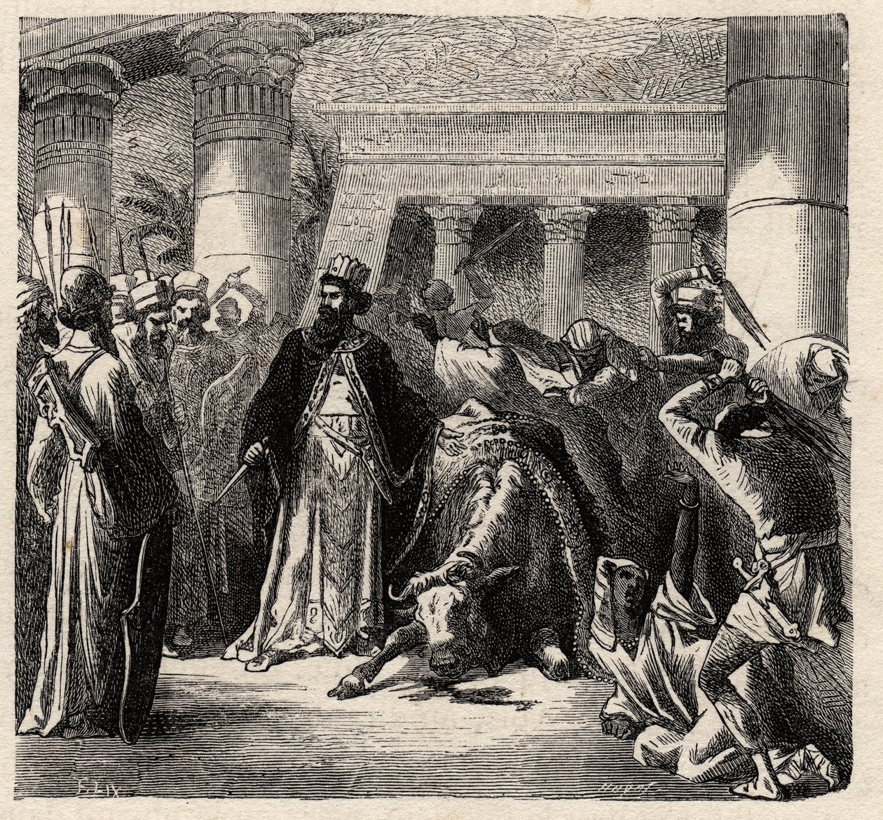 Cambyses II, härskare över de akemenidiska perserna dödar Apis, egyptiernas heliga tjur - Cambyses eller Cambyse II (530-522 f.Kr.) gravyr från "" L