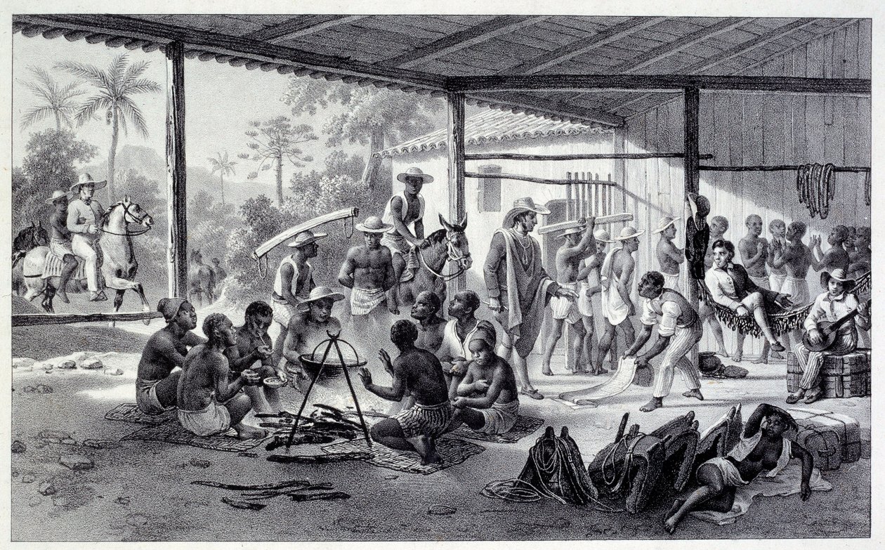Negres läger i Brasilien. Gravyr från 1800-talet. Chartres, Museum of Fine Arts av French School