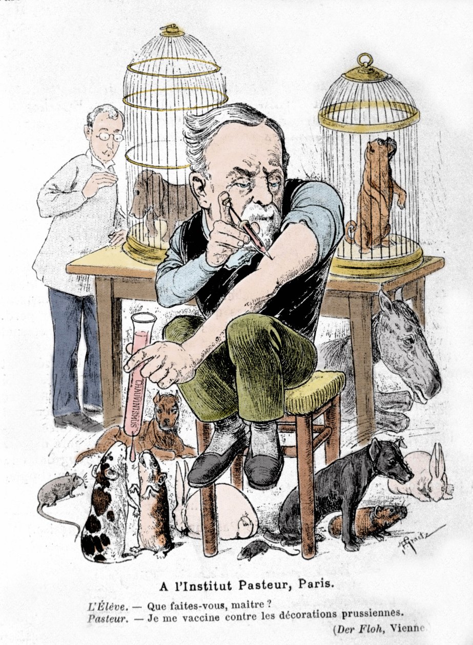 Tecknad bild av vetenskapsmannen Louis Pasteur, uppfinnaren av vaccinet mot rabies, som vaccinerar sig mot preussiska dekorationer. Publicerad i "Der Floh"" av French School