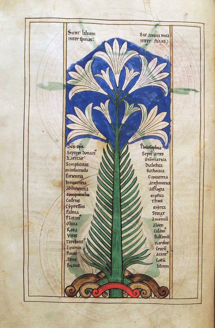 Torsk. Gulf. 1 Gud. lat. (31v) , En lilja (lily longiflorum), från Liber Floridus av Lambert de Saint-Omer c.1120 av French School