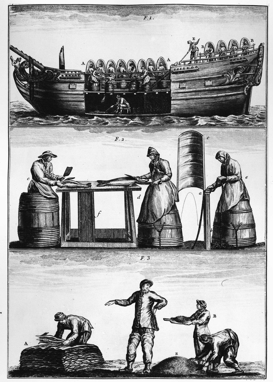 Torskfiske: lasta, skiva och salta fisk - i "General Treatise on Fisheries" av Duhamel du Monceau av French School