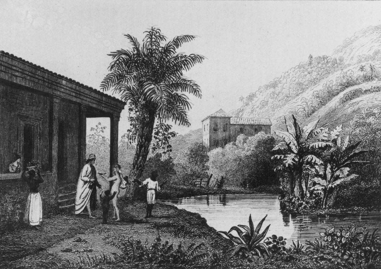 Coffee Plantation, från 