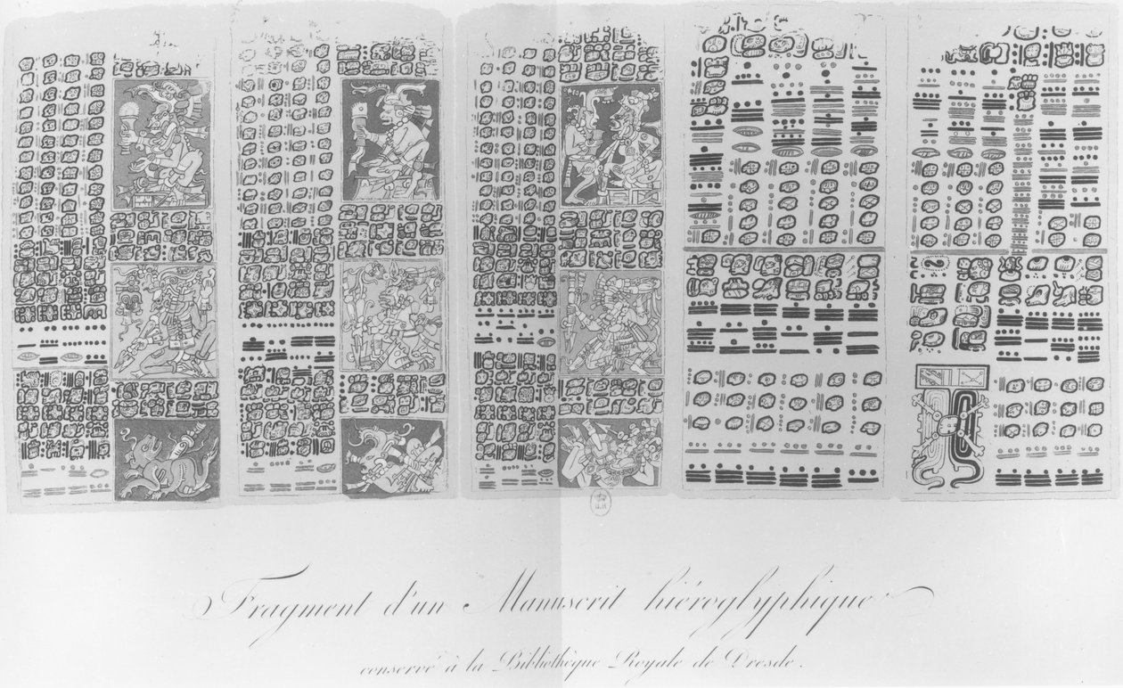 Kopia av ett fragment av ett mayamanuskript som visar astronomiska tabeller med förmörkelserna av French School