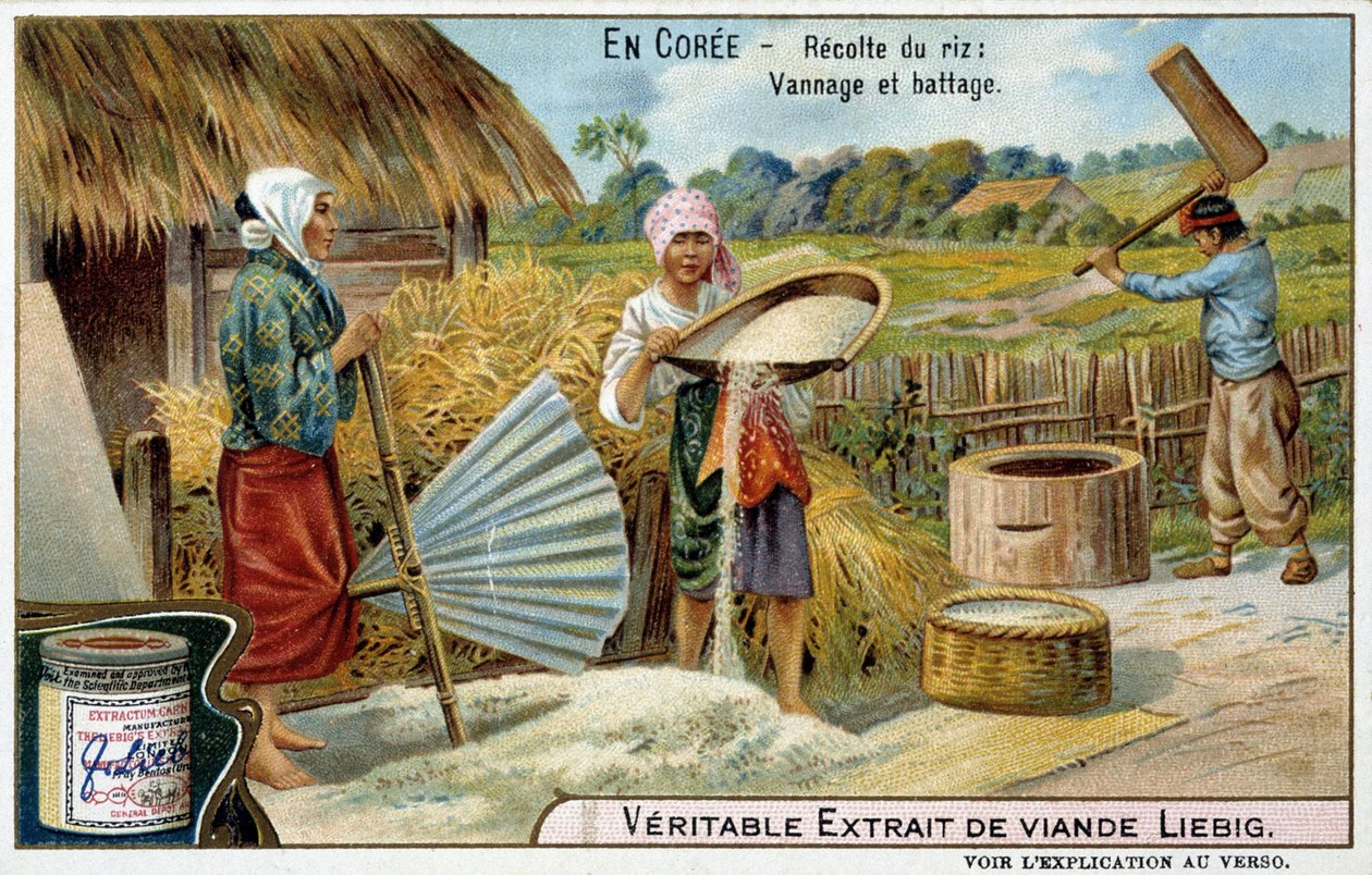 Coree: risskörd, vävning och tröska - chromo. Liébig, v.1900 av French School