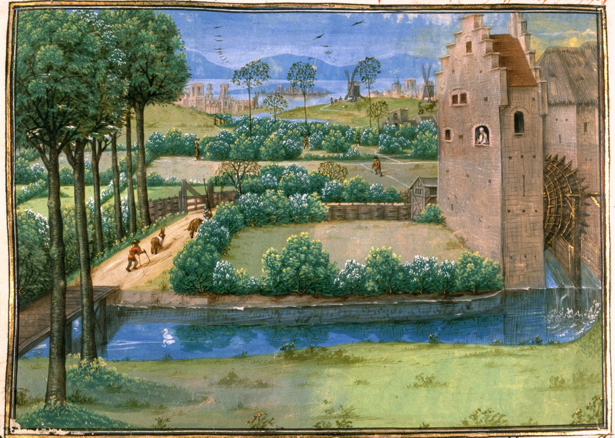 Cott Aug A V f.345v Flamländskt landskap med en vattenkvarn i förgrunden och en väderkvarn i bakgrunden, från 