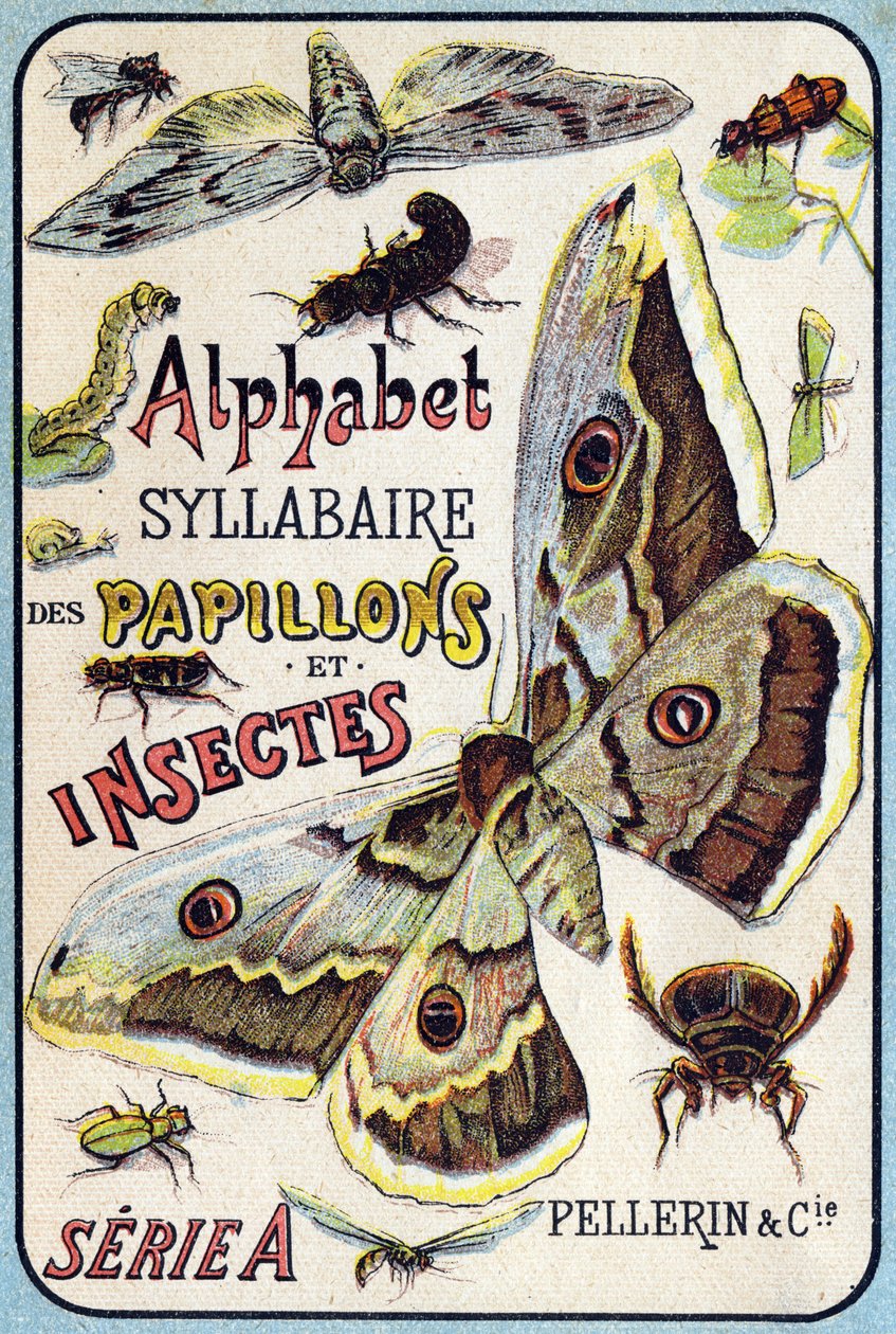 Omslag till "Syllabary alfabetet av fjärilar och insekter"". Serie A. Pellerin et Cie, tryckare-förlag, Epinal, sent 1800-tal. Kromolitografier. Litet 8-sidigt reklamalbum som innehåller en kursplan och ett bildspråk tillsammans med beskrivande texter. D av French School