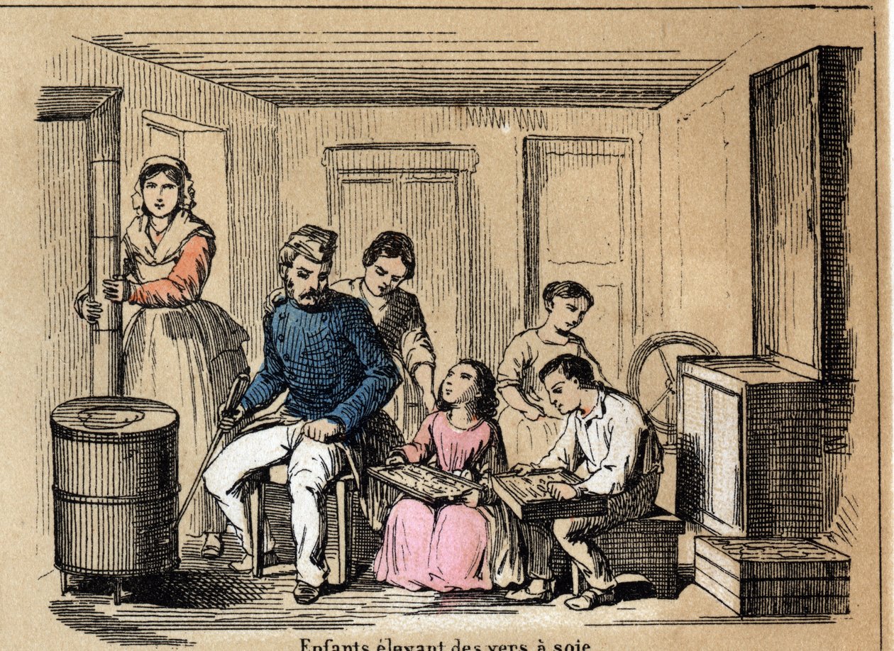 Kulturbeskrivning och sidenprodukter: barn som föder silkesmaskar. Tallrik "" la soie"" i "" les Recreations instructives"" Synoptisk målning av Jules DELBRUCK, gravyr från 1860. Privat samling. av French School