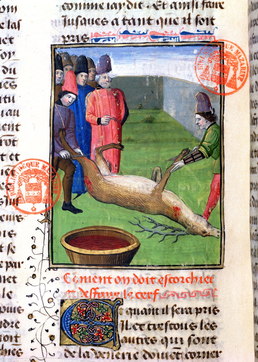 Att klippa benen på en död hjort, från Livre de la Chasse av Gaston Phebus de Foix (1331-91) av French School