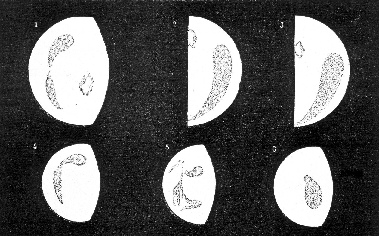 Mörka fläckar och ljusa fläckar av Venus; 1, 2, 3, fläckar observerade av D. Cassini 1667 och 1667; 4, 5, 6, fläckar observerade av M. Langdon 1871 - i "" Le Ciel" av Amédée Guillemin av French School