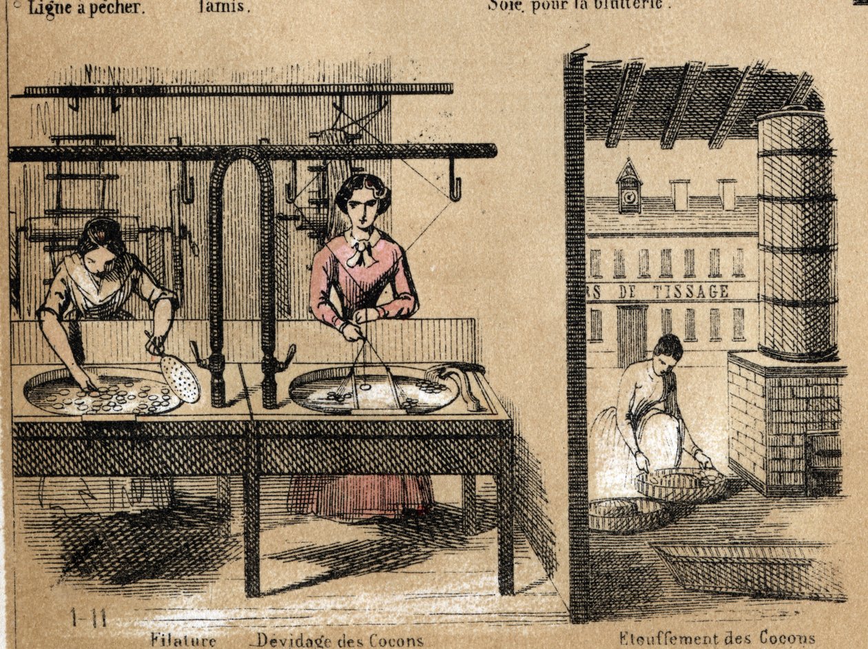 Beskrivning av grödan och silkesprodukterna: arbetare som spinner silke, tar bort eller kväver kokonger. Tallrik "" la soie"" i "" les Recreations instructives"" Synoptisk målning av Jules DELBRUCK, gravyr från 1860. Privat samling. av French School