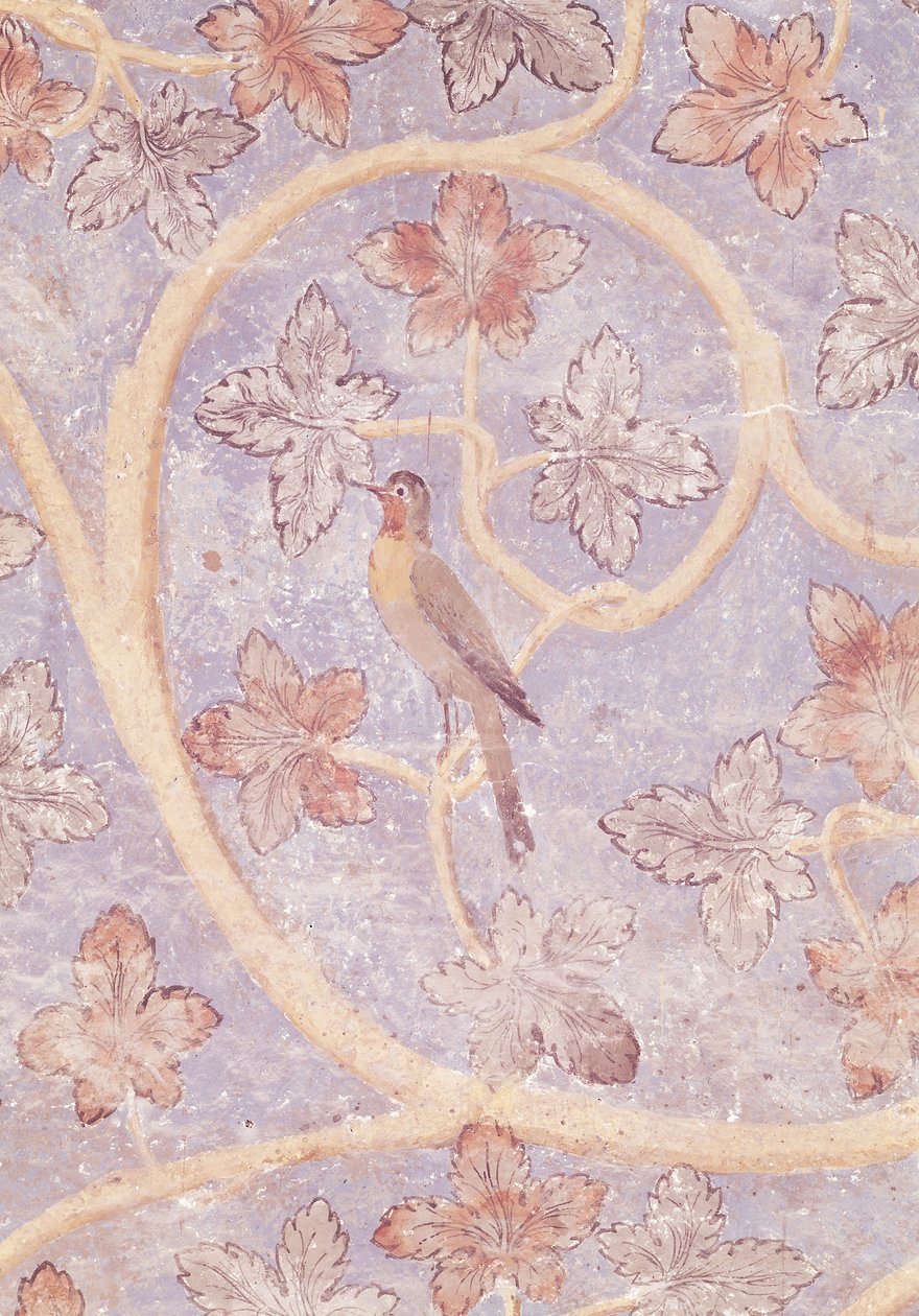 Detalj av en fågel, från väggdekorationen i påvarnas sovrum, ca 1334-62 (se även 154784) av French School