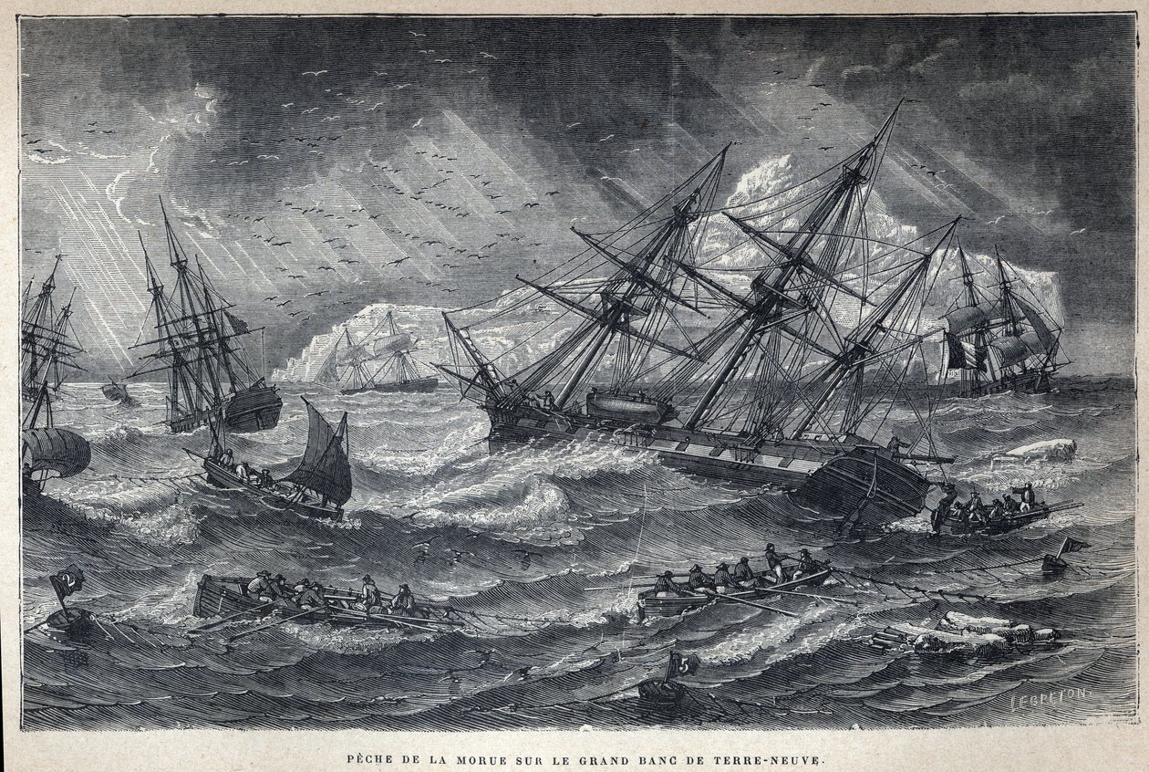 Upptäckt Kanada: Torskfiske på Grand Bank of Newfoundland, Newfoundland. Gravyr från slutet av 1800-talet i "La nouvelle France" av Eugene Guenin. av French School