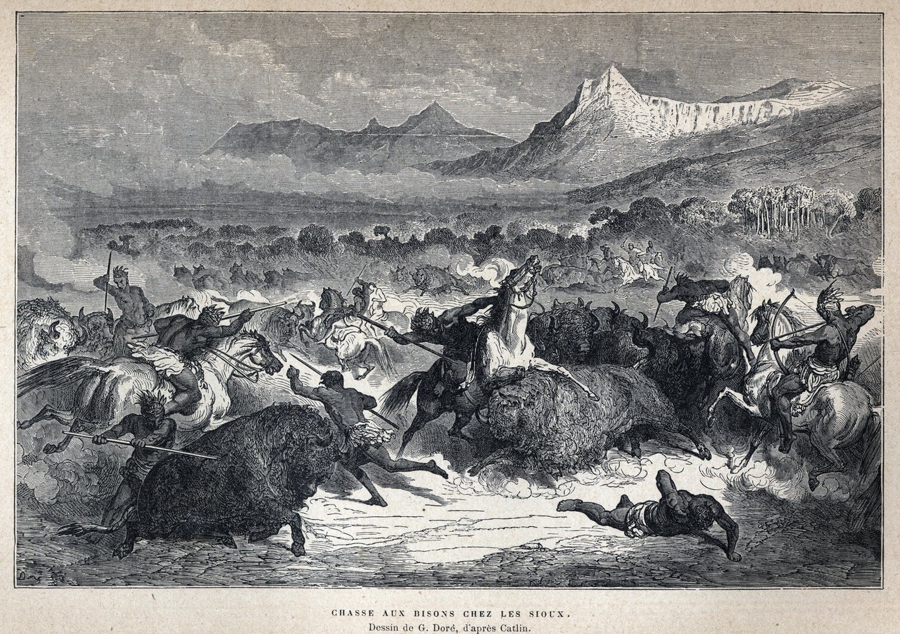 Upptäckte Kanada: Sioux-bisonjakt. Teckning av Gustave Dore efter Catlin. Gravyr från slutet av 1800-talet i "La nouvelle France" av Eugene Guenin. av French School