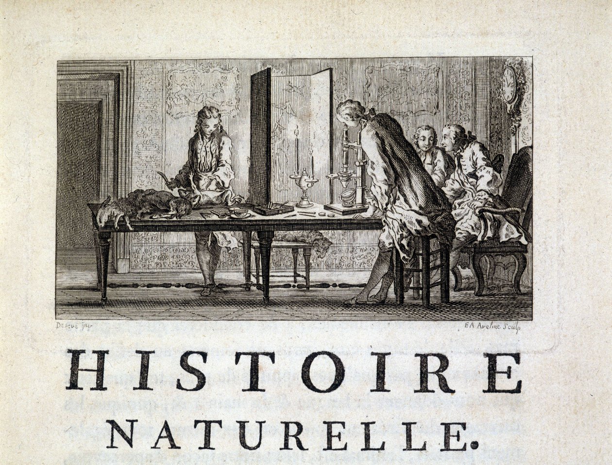 Dissekering av djur - i "" Naturlig, allmän och speciell historia"" av Buffon av French School