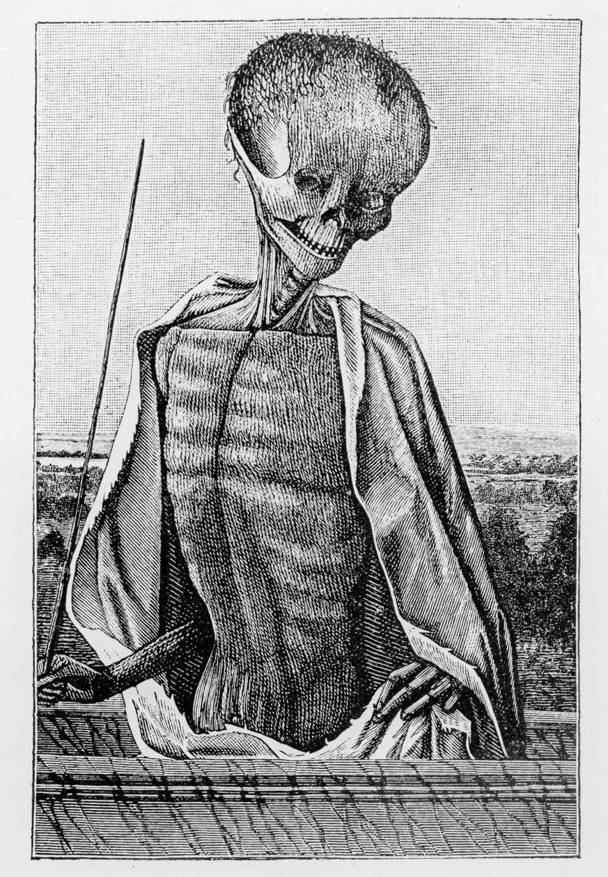 Doctor Death, från en bok med timmar, illustration från vetenskap och litteratur under medeltiden och renässansen, skriven och graverad av Paul Lacroix, 1878 av French School
