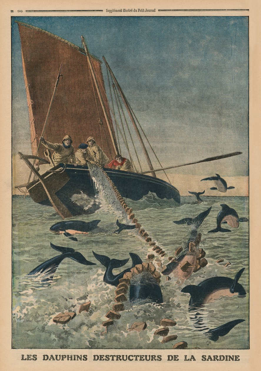 Delfiner som förstör sardiner, illustration på framsidan från "Le Petit Journal", bilaga illustre, 23 mars 1913 av French School