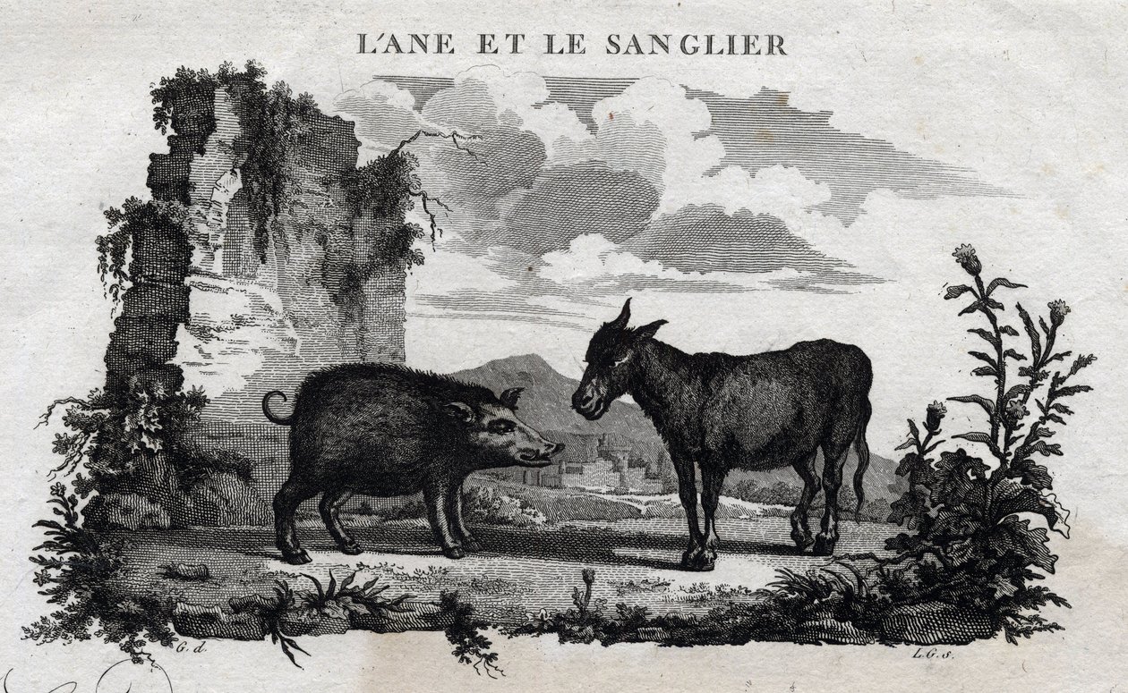 Åsna och galt. Fabel av Esope. (Grekisk författare Esopo eller Ecopus, 600-talet f.Kr.) Skriven av Guillaume Montfort och Gravees av Beauble 1801. av French School