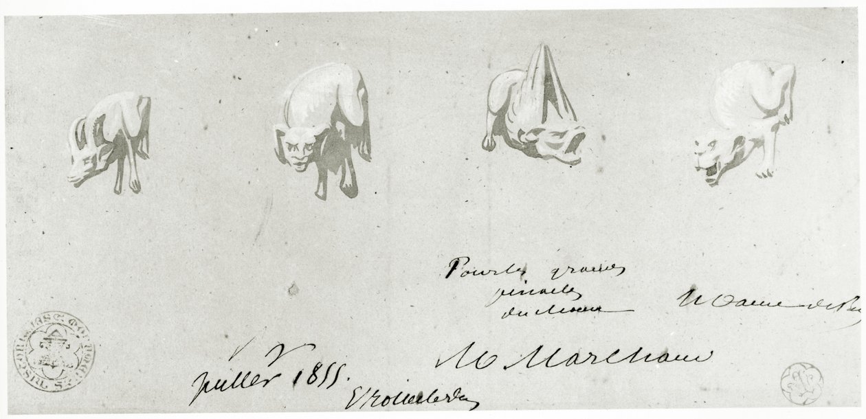 Ritning för restaurering av gargoylerna i Notre Dame, 1855 av French School