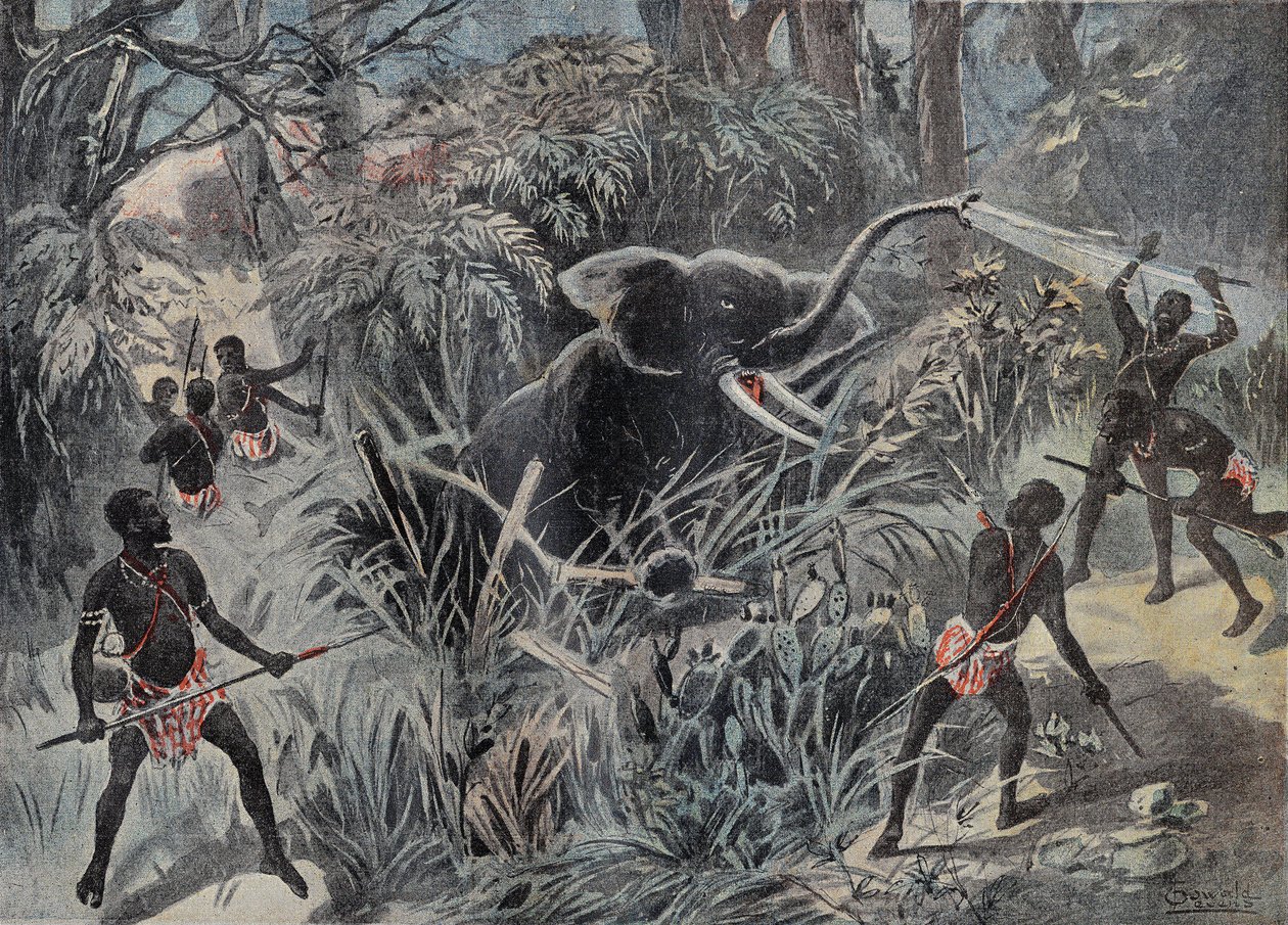 Elefantjakt i Afrika. Elefanten faller i en grop innan den blir färdig med pilar. Gravyr i "" Le Pelerin"" 1899-01-22. av French School