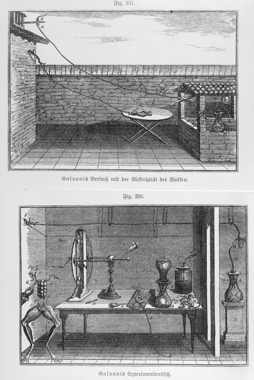 Experiment på grodor av Louis Galvani (1737-98) sent 1700-tal av French School