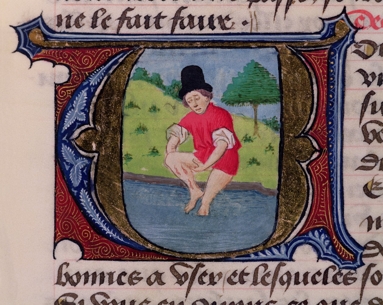 F.27v Leeching, från Traite de Medecine av Aldebrande de Florence, 1356 av French School