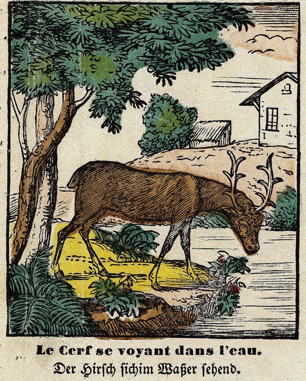 Fables de La Fontaine: rådjuren ser sig själva i vattnet. Bild av Epinal, första hälften av 1800-talet av French School