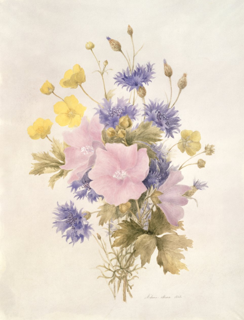 Fältblommor, 1842 (wc på papper) av French School