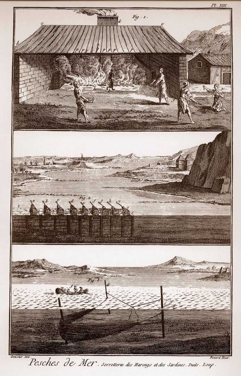 Fiske, sill och sardiner - Peches de Mer - Sorretterie des herring et des sardines - "" La Grande Encyclopédie, ou Dictionnaire Raisonne des Sciences, des Arts et des Metiers"" (Encyclopedia or Dictionary of the Sciences, Arts and Professions) av Deni av French School