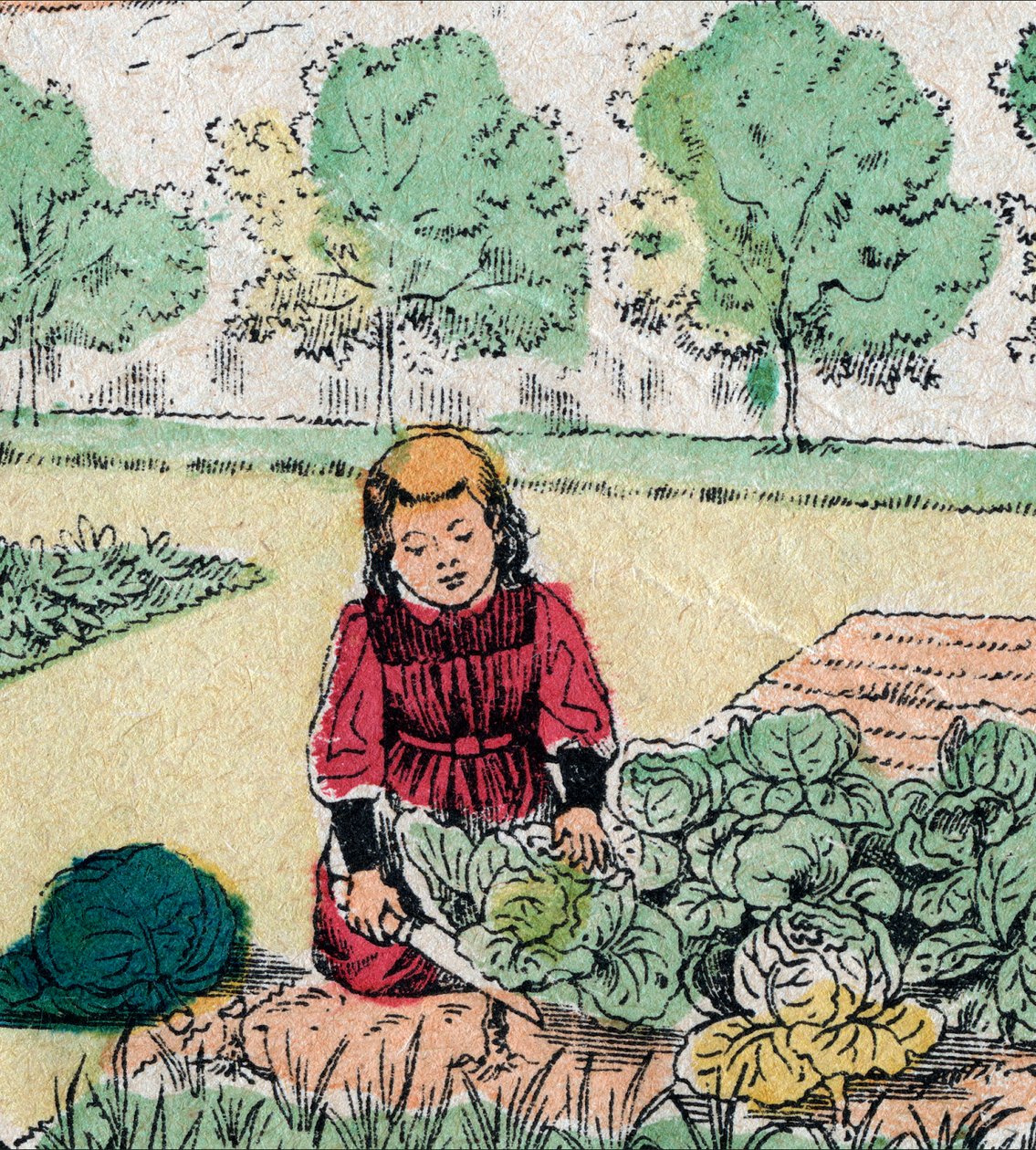 Fransk tro: En liten flicka, som tror att bebisar föds i kål eller rosor, skär groddarna från en grönsaksträdgård - Epinal bild - 1800-talet (gravyr) av French School