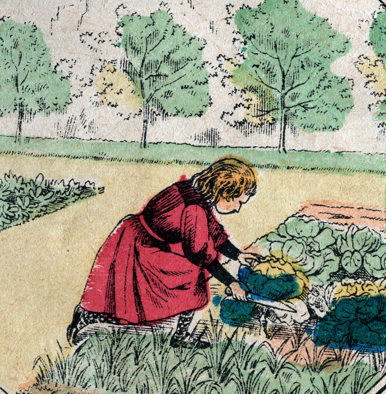 Fransk tro: En liten flicka, som tror att bebisar föds i kål eller rosor, skär groddarna från en grönsaksträdgård - Epinal bild - 1800-talet (gravyr) av French School