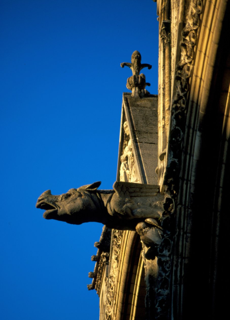 Gargoyle of Laon Cathedral i Aisne (02) av French School