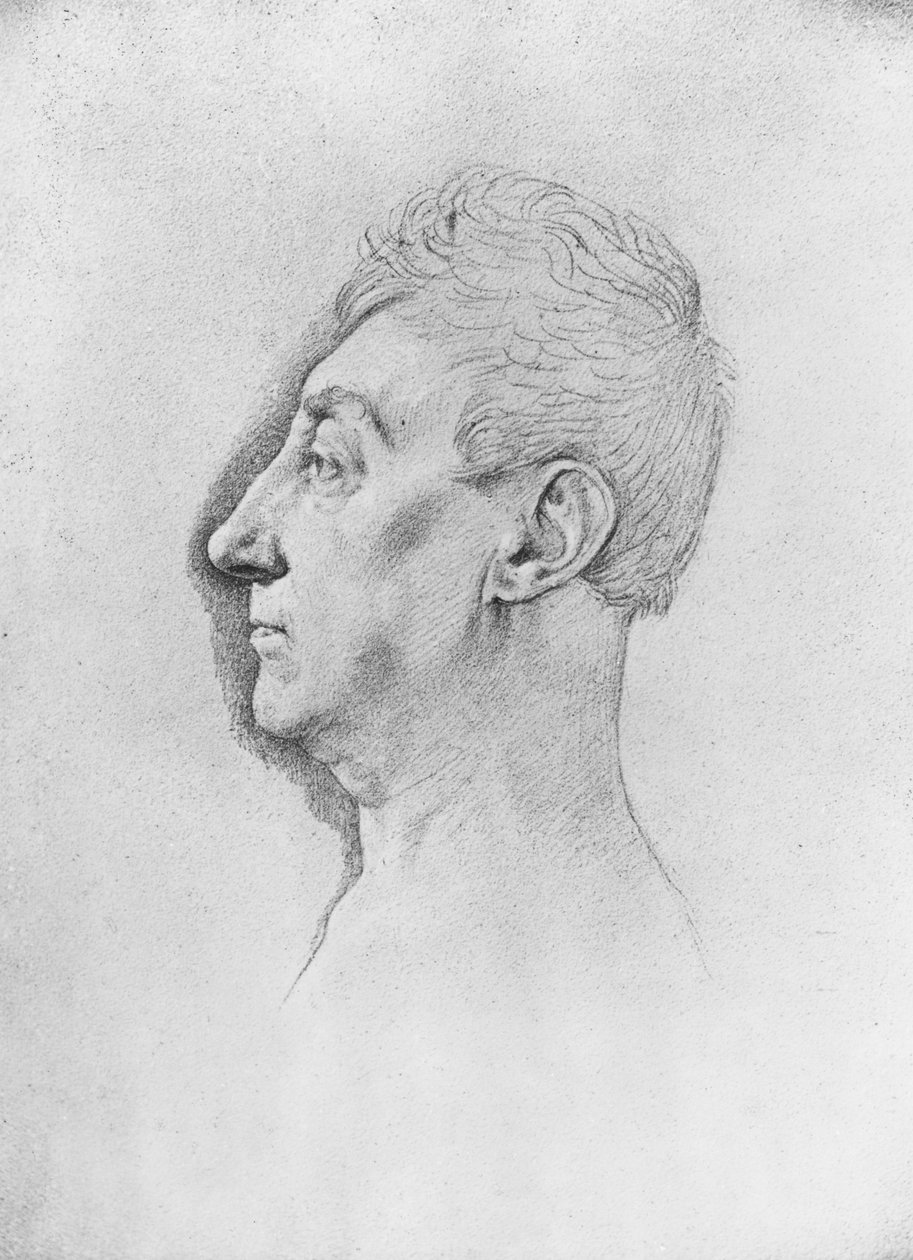 General de Lafayette (foto) av French School