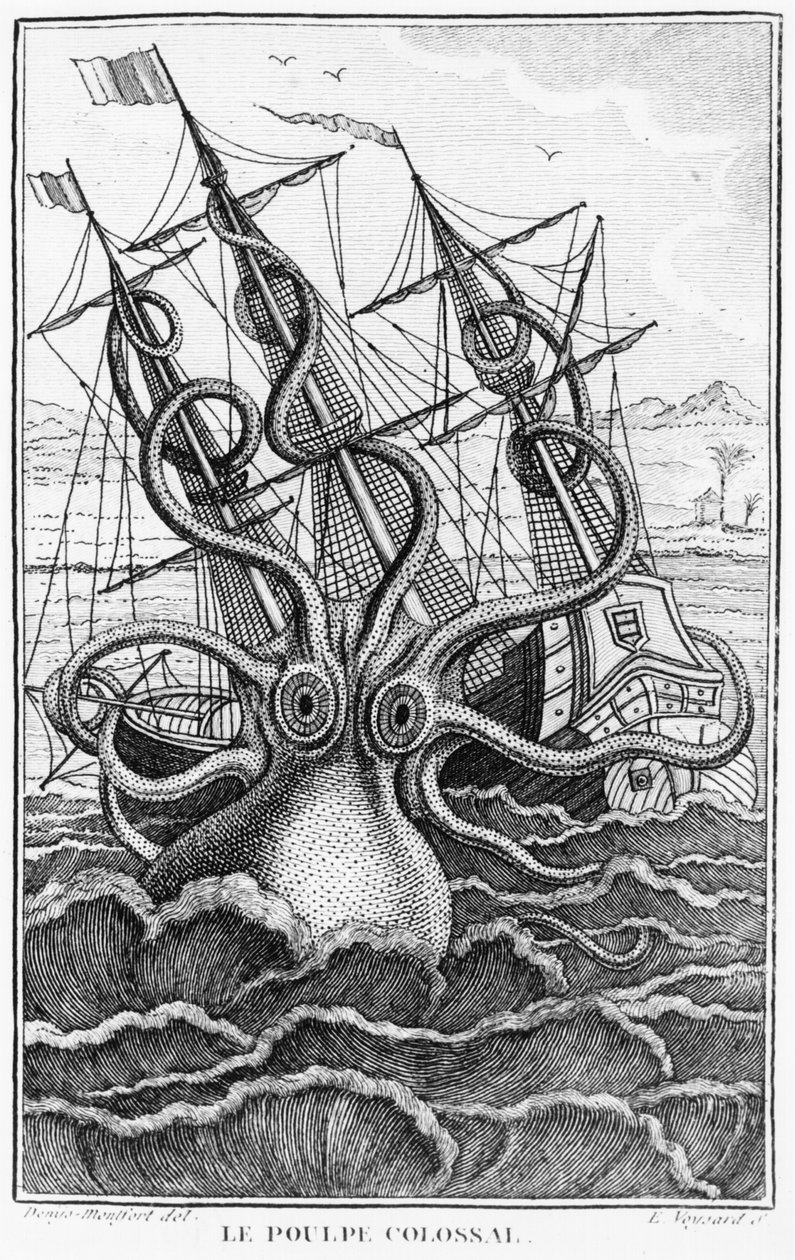 Giant Octopus, illustration från General and Special Natural History of Molluscs av ​​Denys-Montfort, ca. 1802-03 av French School