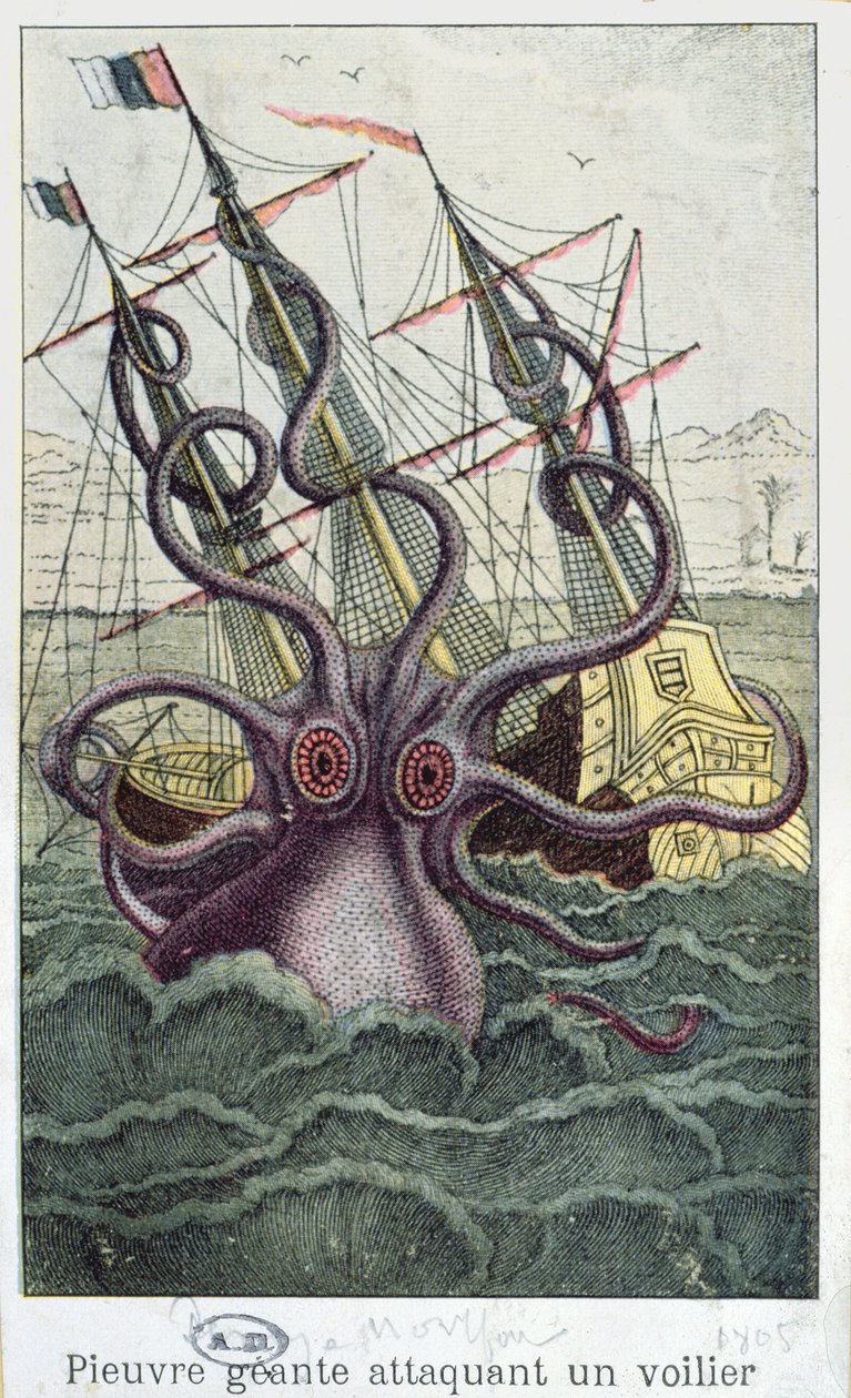 Giant Octopus, illustration från General and Special Natural History of Molluscs av ​​Denys-Montfort, ca. 1802-03 av French School