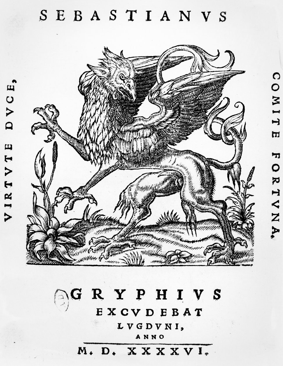 Griffin skrivare emblem av Sebastianus Gryphius, Lyon, 1546 av French School