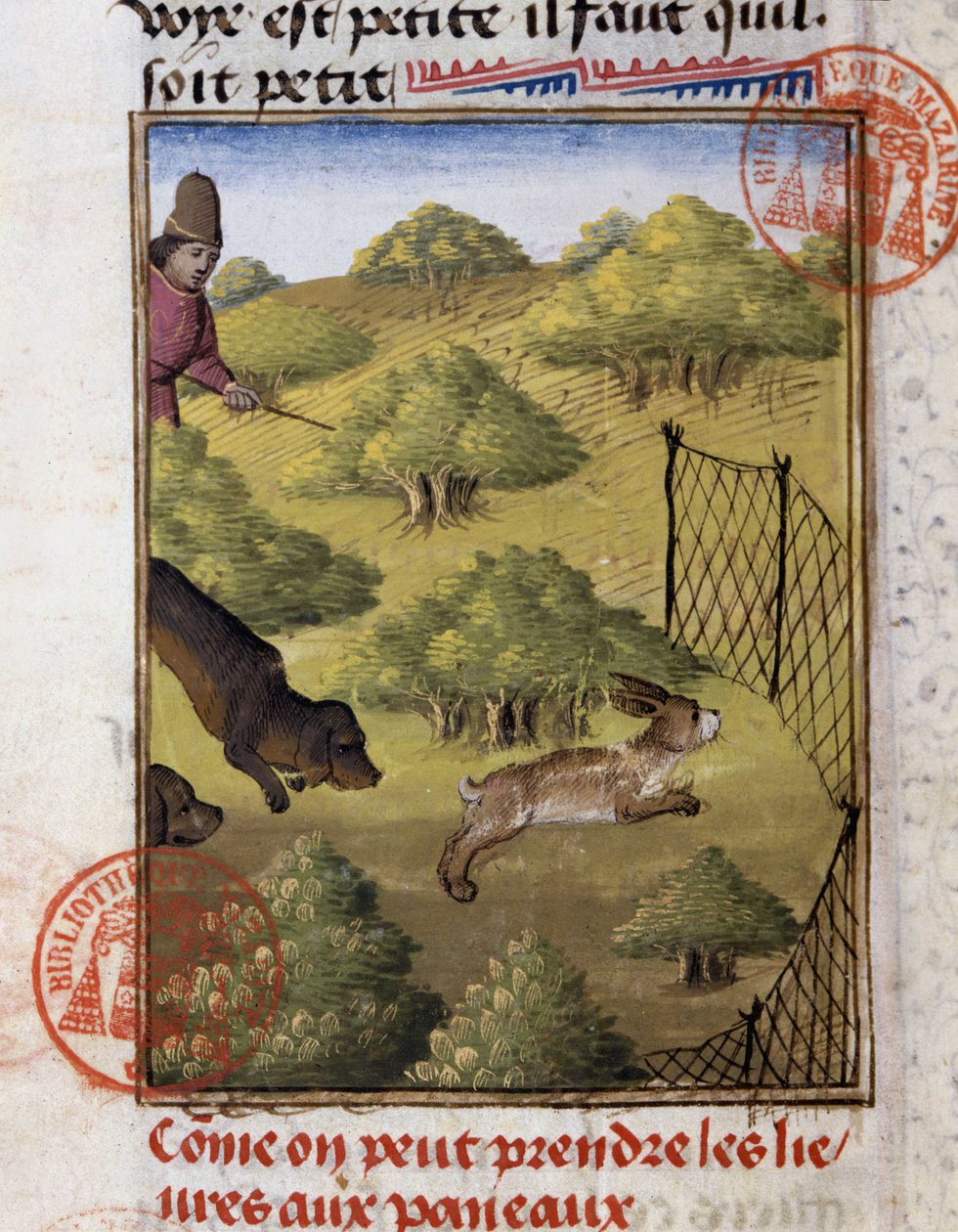 Hare Hunting - i "" Hunting Book of Gaston Phoebus, Count of Foix, Lord of Béarn"" av French School