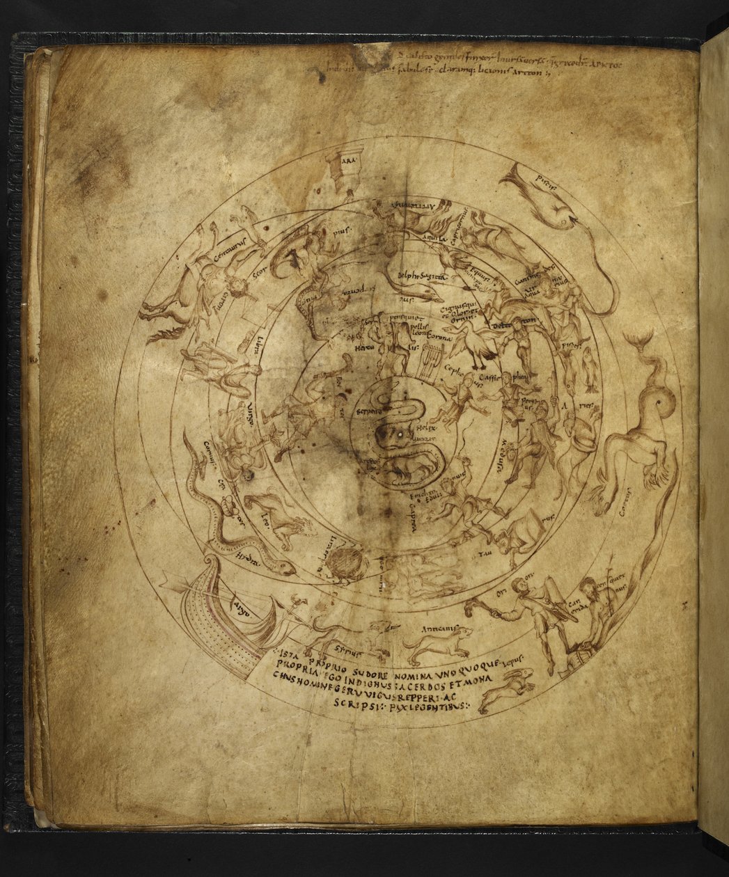 Harley 647 f.21v Diagram över norra och södra halvklotet, från 