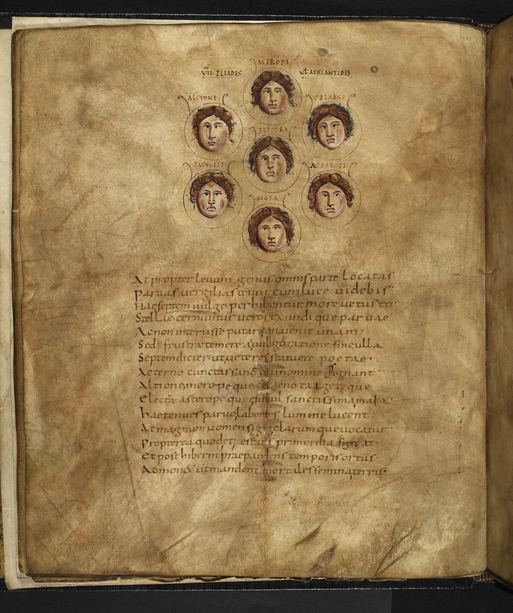 Harley 647, f.4v Illustration av Plejadernas ansikten, sju systrar som levde i himlen som stjärnor, med deras namn inskrivna runt omkring, från 