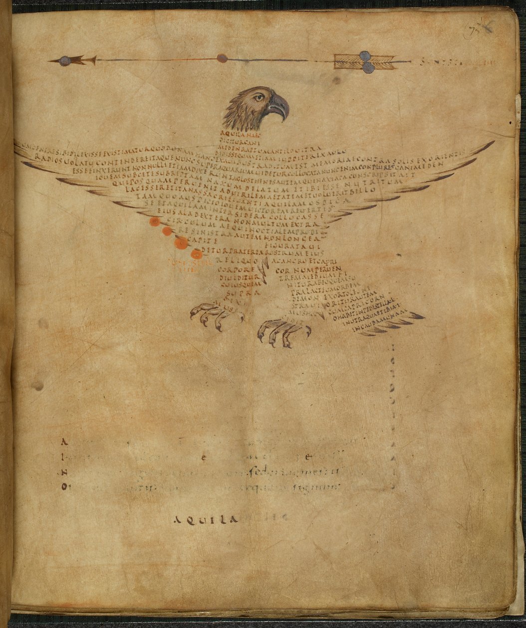 Harley 647, f.7 Illustration av stjärnbilden 