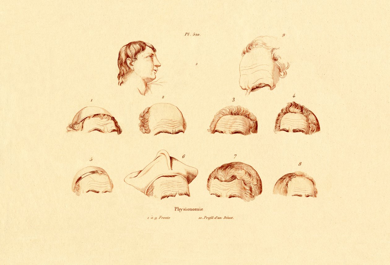 Huvuden, 1833-39 av French School