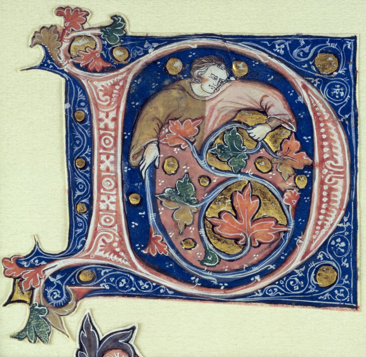 Historikerad initial D som föreställer en man som håller i en vinstock av French School